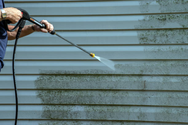Best House Exterior Washing  in Scow Mills, MO